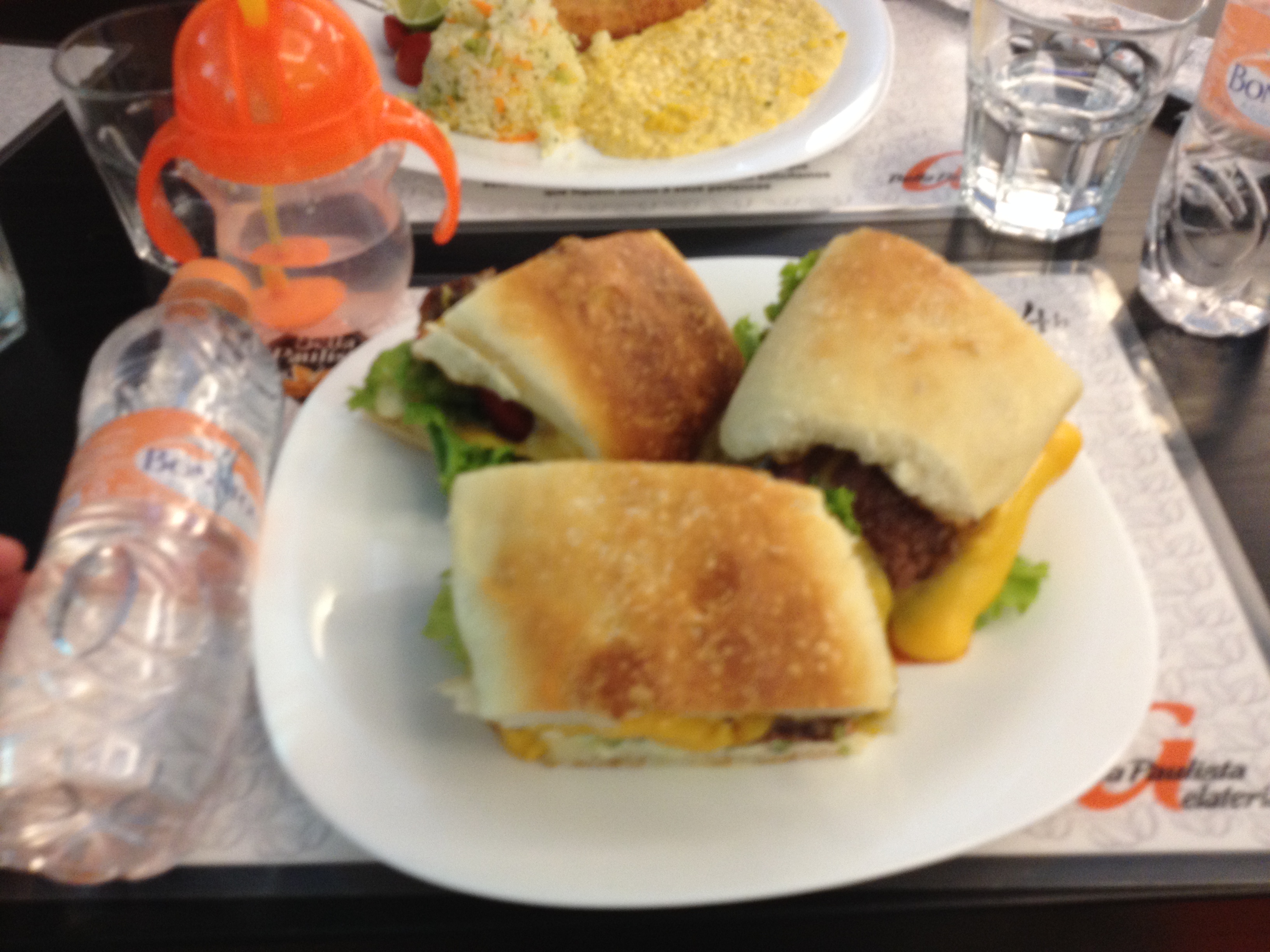 out of focus sandwich