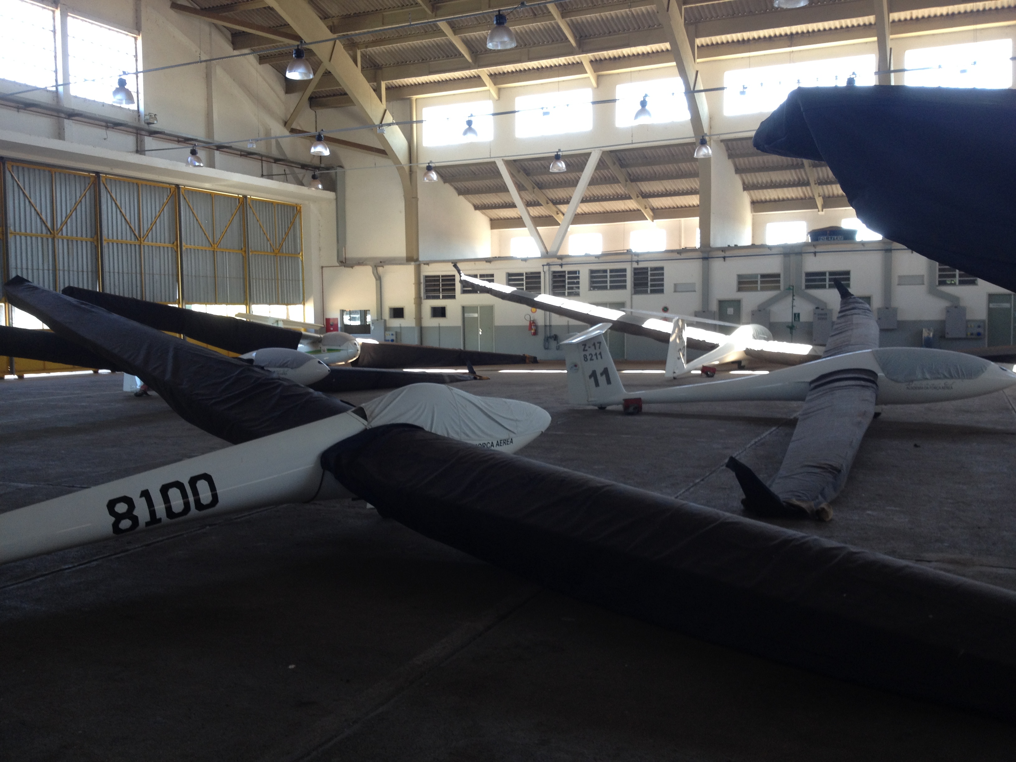gliders